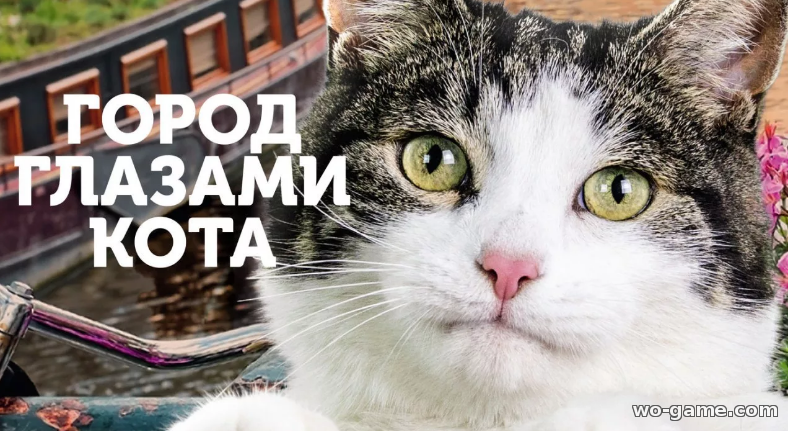 Город глазами кота фильм 2018 смотреть онлайн бесплатно