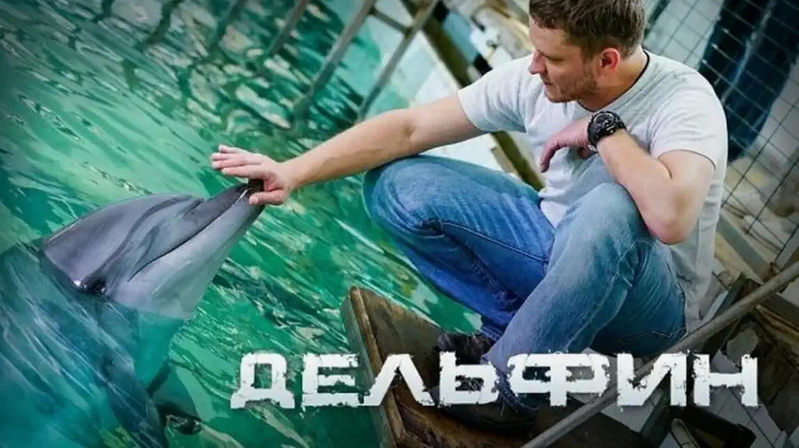 Дельфин сериал 1-3 сезон смотреть онлайн все серии подряд в качестве