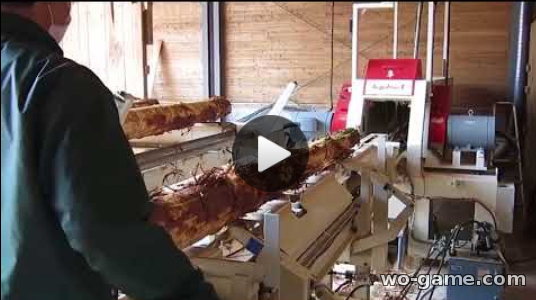 Как работают на пилораме в Китае