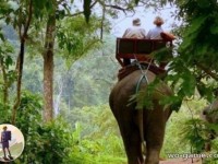 Путешествие сквозь джунгли на слонах