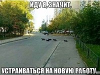 Иду я устраиваться на новую работу