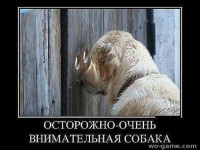 Осторожно очень внимательная собака