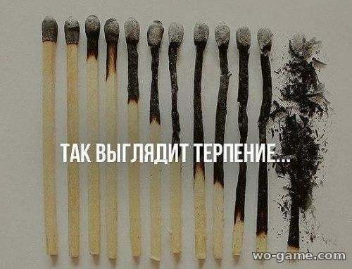 Так выглядит терпение