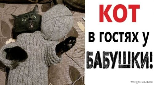 Кот у бабушки 3