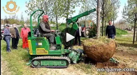 Как пересаживают большие деревья видео смотреть бесплатно в качестве